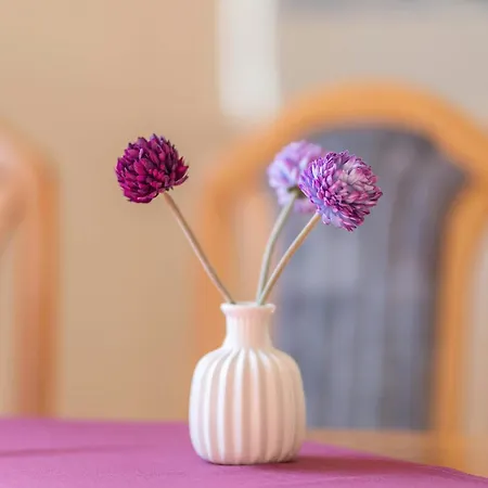 Appartmenthaus Felicitas